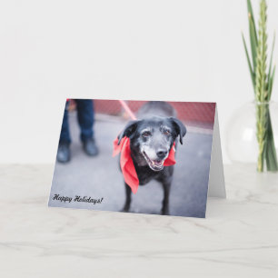 De Kaarten "Warme vakantiewensen " van de vakantie