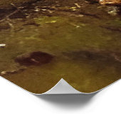 De kajuit in de Bossen - kleurrijk schilderen Poster (Hoek)