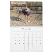 DE KALENDAR VAN TWINKIE KALENDER (Feb 2026)