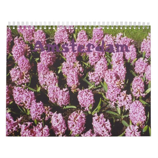 De kalender van Amsterdam (Hoes)