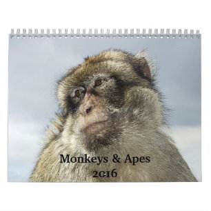 De Kalender van apen en van Apen 2016