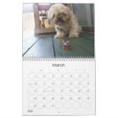 De kalender van Clay Pal (Mar 2026)