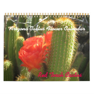 De Kalender van de Bloem van de Cactus van Arizona