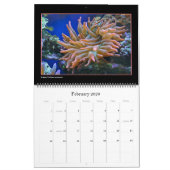 De kalender van het koraalrif (Feb 2026)