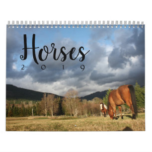De Kalender van het paard