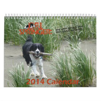 De kalender van Joyful Springer 2014
