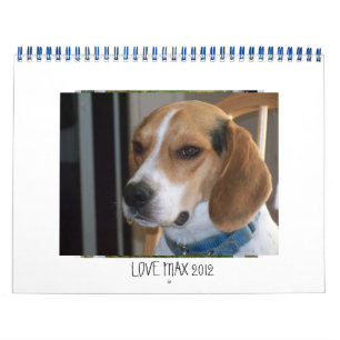 De Kalender van LOVEMAX 2012