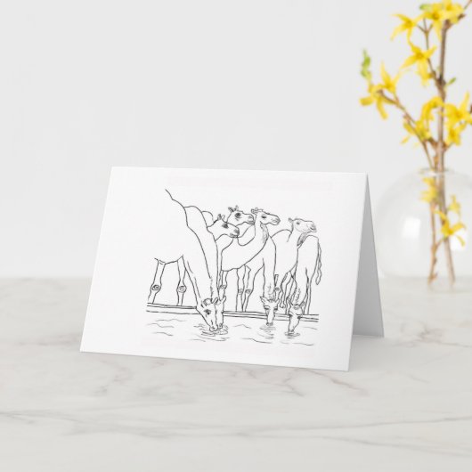 De kamelen 🐪 kaart (Gele Bloem)