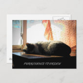 DE KANS OM TE DROMEN BRIEFKAART (Voorkant / Achterkant)