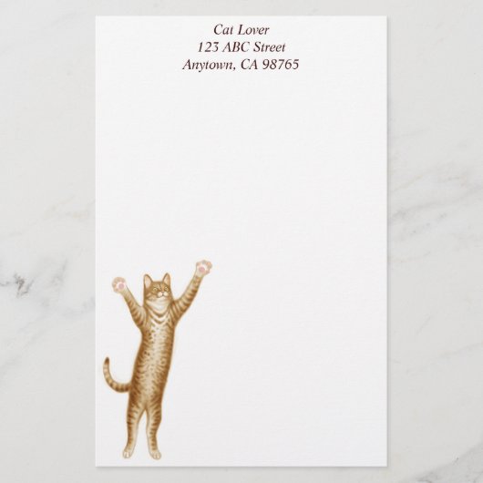 De kantoorbenodigdheden van het superKat Briefpapier (Voorkant)