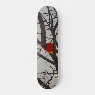 De kardinaal 's ochtends skateboard
