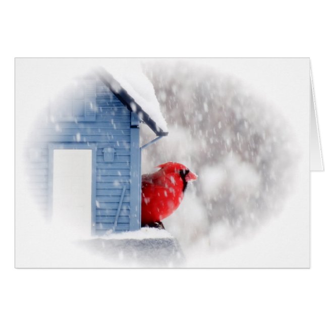 De Kardinaal van de Dag van de sneeuw - Vogel (Voorkant Horizontaal)