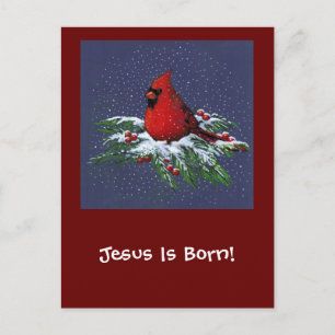 DE KARDINAAL VAN KERSTMIS: VOGEL: KUNST: SNEEUW FEESTDAGENKAART