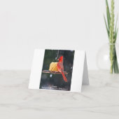 De kardinalen nemen nota van Kaarten (Achterkant)