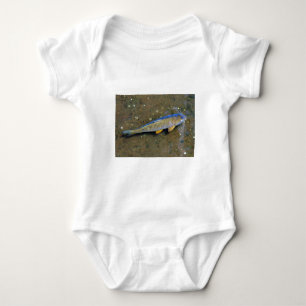 De karper romper
