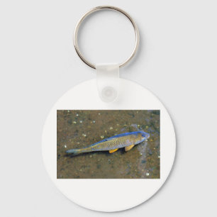 De karper sleutelhanger