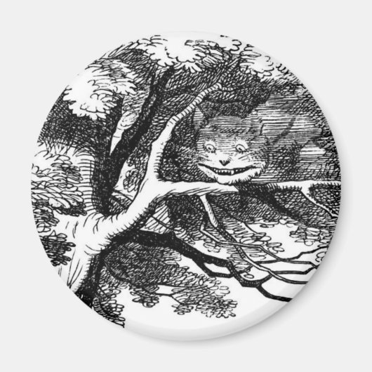 De kastanjekat magneet (Voorkant)