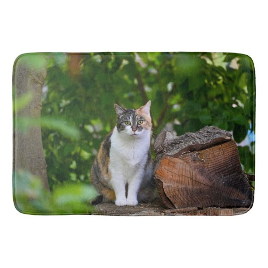 De kat badmat (Voorkant)