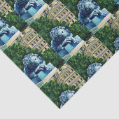 De kat, die de Canarische Eilanden at, Washington Tissuepapier (Detail)