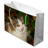 De kat en de Camellia Large Cadeauzakje (Achterkant Gekanteld)