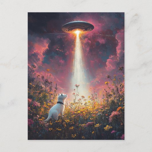 De kat en een ufo briefkaart (Voorkant)