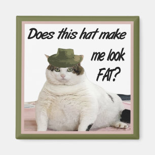 De kat en het Pet Magnet Magneet