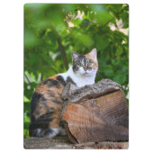De Kat      Klembord (Achterkant)