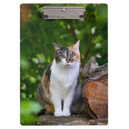 De Kat Klembord