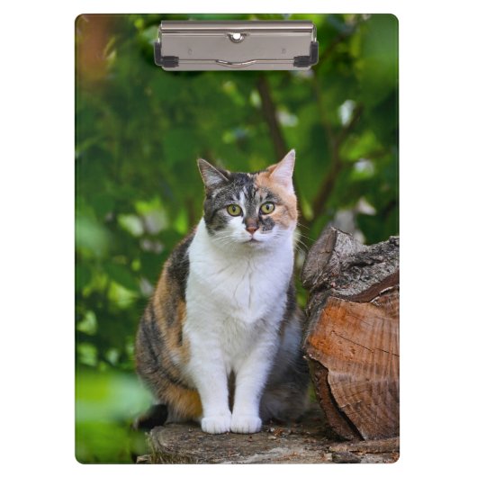 De Kat      Klembord (Voorkant)