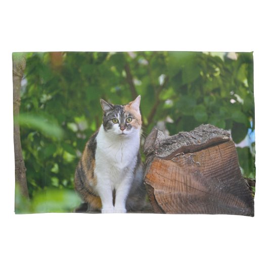 De kat kussensloop (Voorkant)