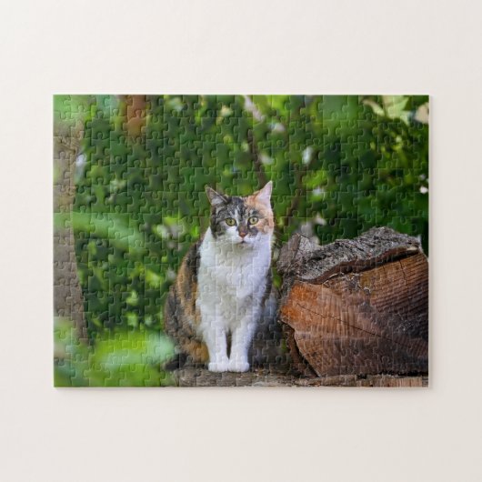 De kat legpuzzel (Horizontaal)