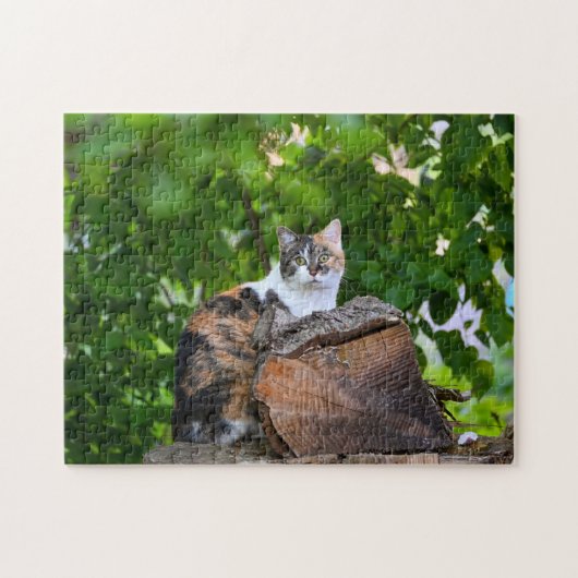 De kat legpuzzel (Horizontaal)