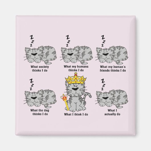 De kat magneet (Voorkant)