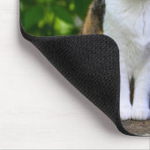 De Kat Muismat (Hoek)