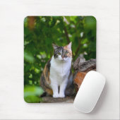 De Kat Muismat (Met muis)