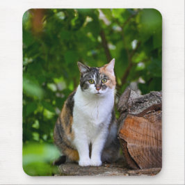 De Kat Muismat
