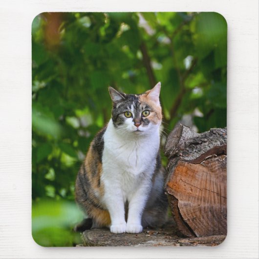 De Kat Muismat (Voorkant)