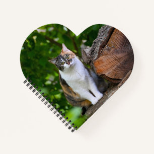 De Kat Notitieboek