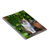 De Kat    Notitieboek (Rechterzijde)