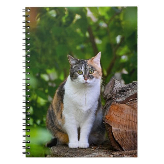 De Kat    Notitieboek (Voorkant)