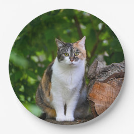 De Kat Papieren Bordje