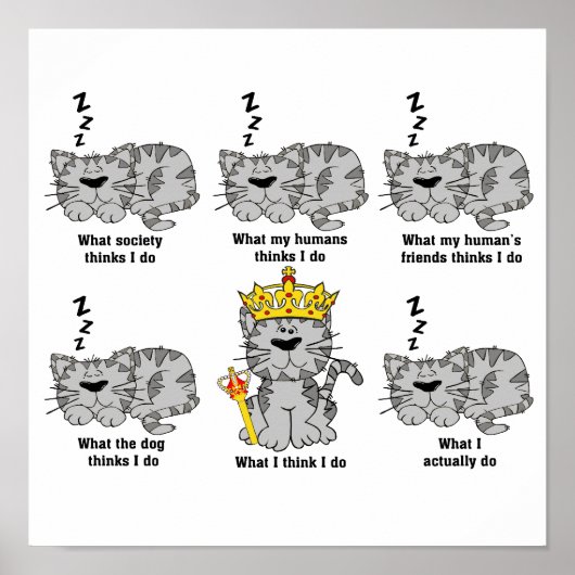 De Kat Poster (Voorkant)