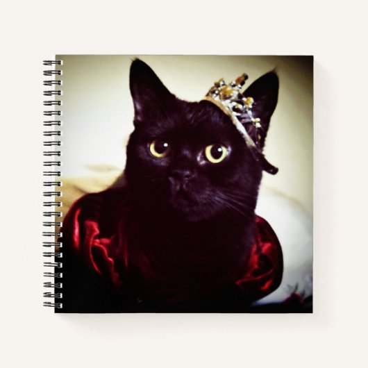 De Kat prinses Notitieboek (Voorkant)