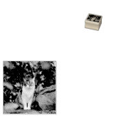 De kat 	rubberstempel (Gestempeld)