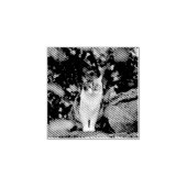 De kat 	rubberstempel (Afrduk)