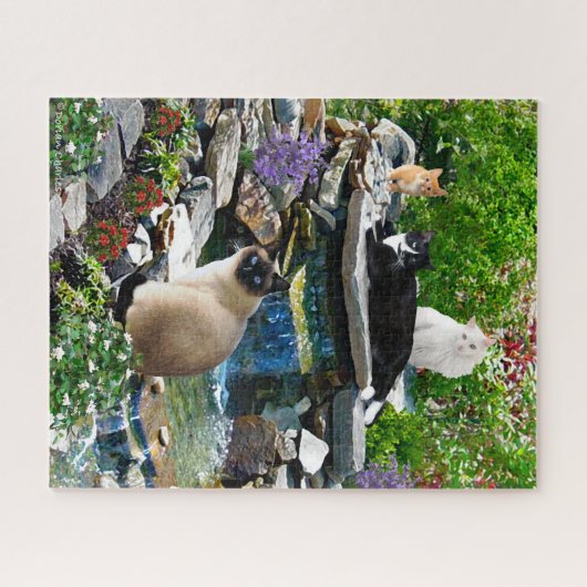 De kat spa legpuzzel (Horizontaal)