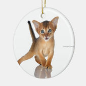 De kat van Abyssinian Keramisch Ornament (Links)