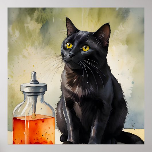 De kat van de alchemist poster (Voorkant)