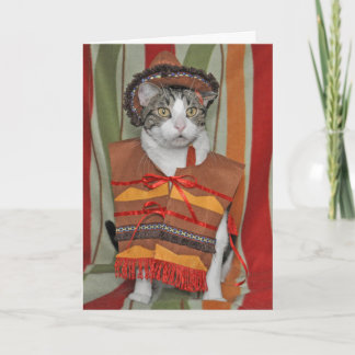 De Kat van de Gestreepte kat van Cinco DE Mayo Kaart
