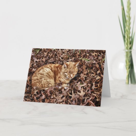 De Kat van de herfst Kaart (Voorkant)